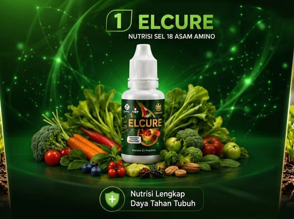 ELCURE Nutrisi Sel