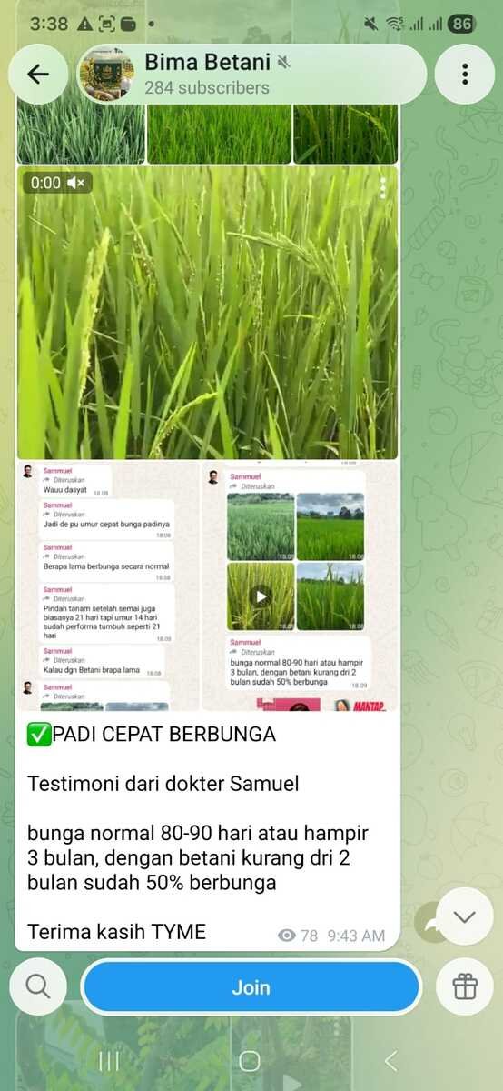 Testimoni 5